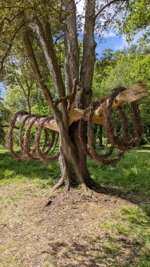 Tracing Systems suspended among trees at Staunton Country Park on installation day, photographed on 14 May 2026.