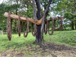 May 2026 view of the Tracing Systems installation at Staunton Country Park, part of the six-month photographic record.