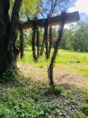 Fixed-view record of the installation in August 2026, documenting summer weathering and the gradual unravelling of the toruses.
