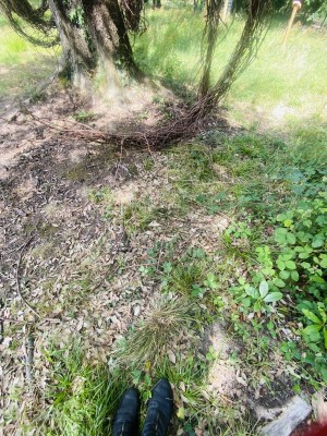 The Tracing Systems toruses during summer 2026, documenting their gradual opening and material loss.