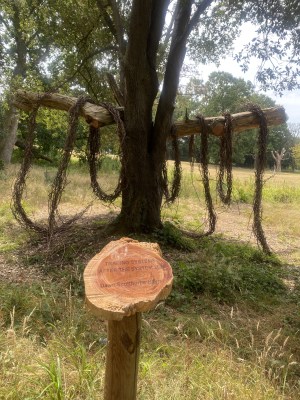 The Tracing Systems installation in August 2026, documenting the remaining toruses after a period of hot, dry weather.