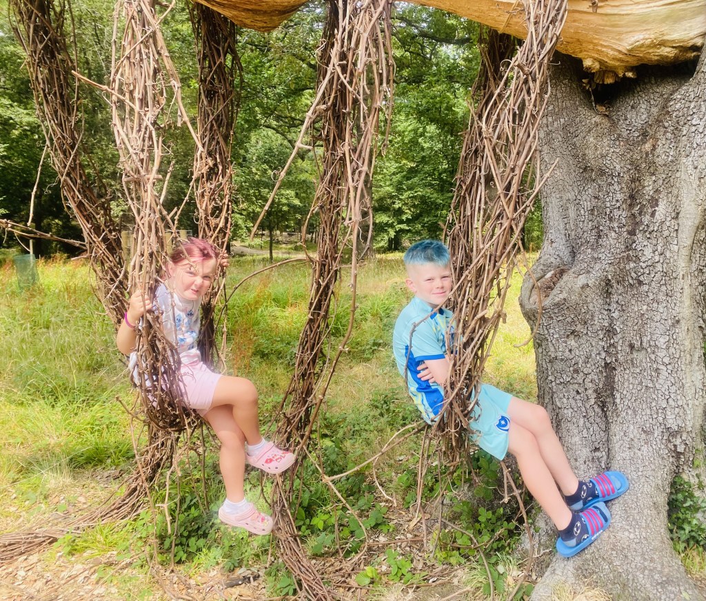 Two children sit on suspended grapevine toruses during public interaction with the Tracing Systems installation.