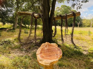Late summer view of Tracing Systems as most toruses have opened and released vines while remaining tethered to the beam.