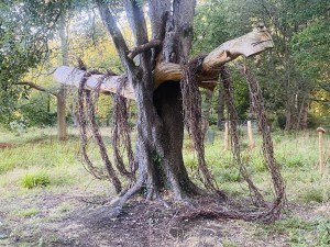 Autumn view of the toruses and surrounding woodland, documenting seasonal change in the installation’s setting.