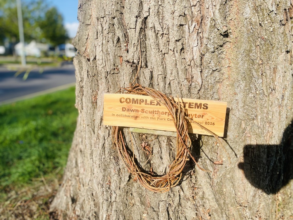 A willow ring and the engraved Complex Systems sign are displayed against a tree trunk.
