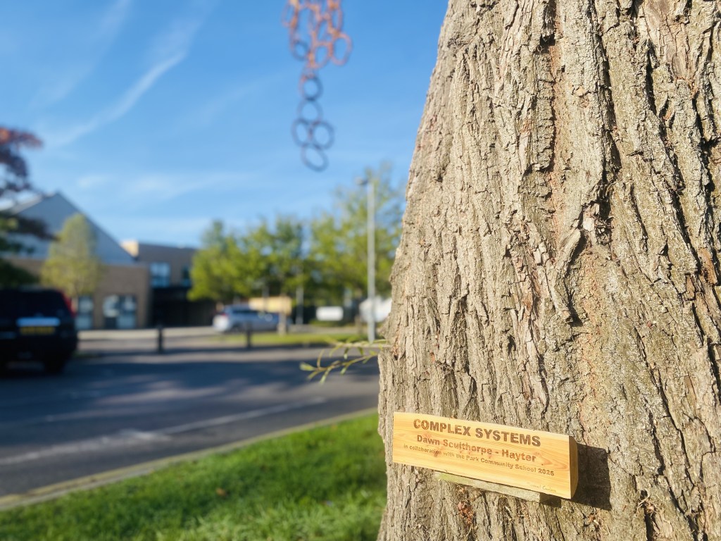 The engraved Complex Systems sign is fixed to a tree trunk beneath the hanging ring sheet.