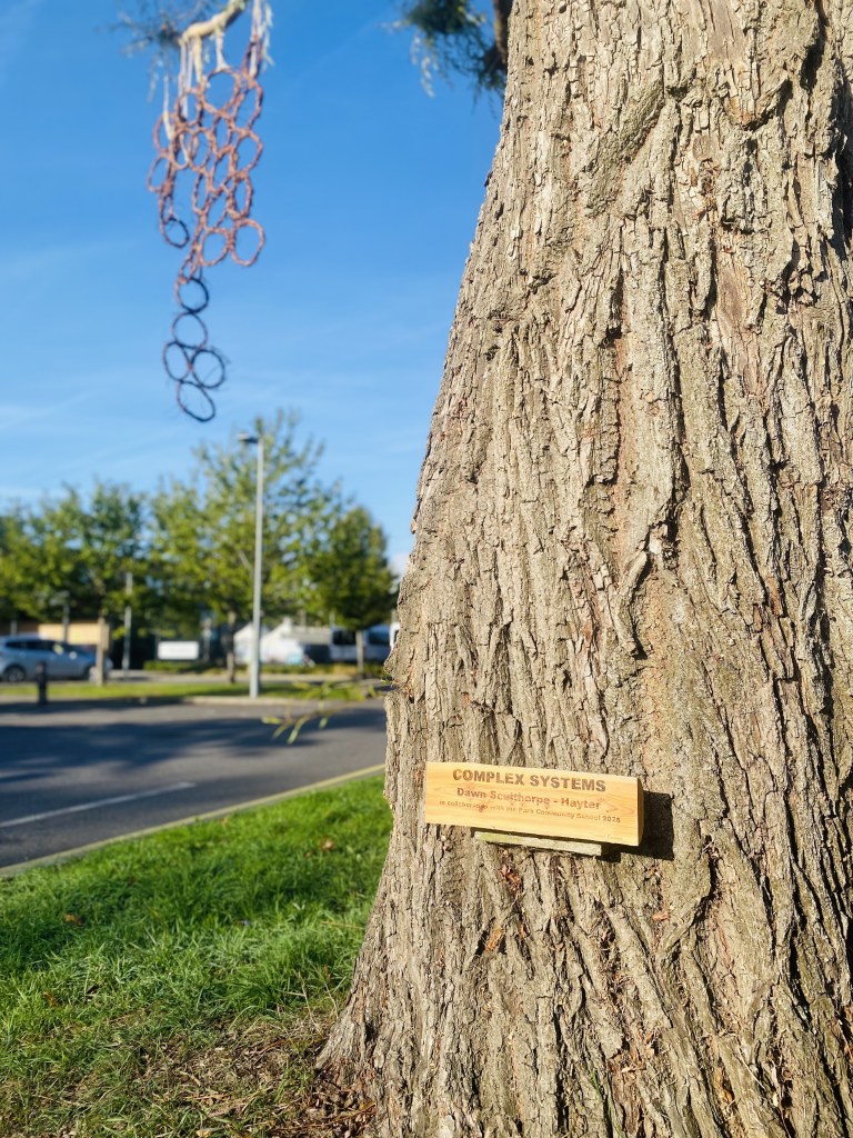 The Complex Systems sign on a tree trunk with the woven ring sheet hanging above it.