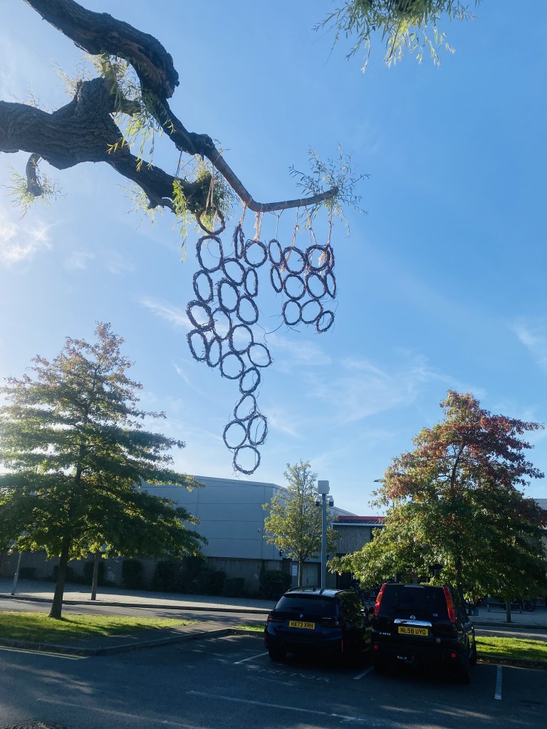 The woven ring sheet hangs from a willow branch above a car park.