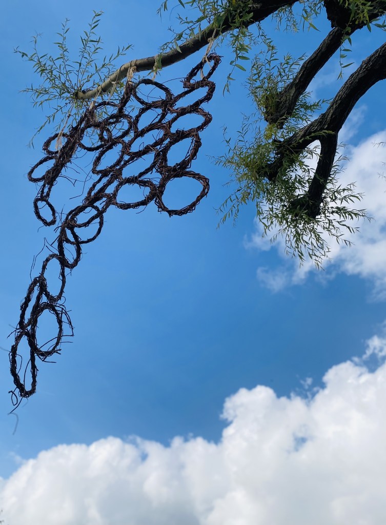 The willow ring sheet hangs from a branch against a blue sky, with a chain of rings extending below.