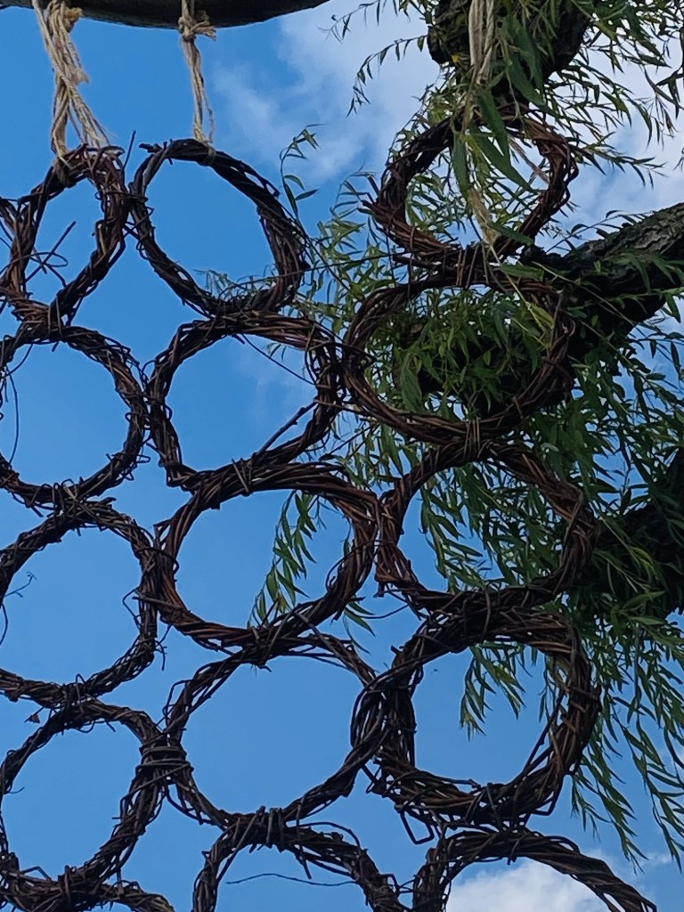 Close view of woven willow rings beside fresh leaves and new growth on the supporting branch.