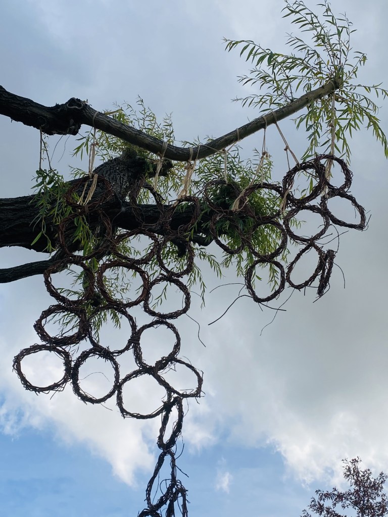 Clusters of woven willow rings hang beneath a branch with new shoots and leaves.