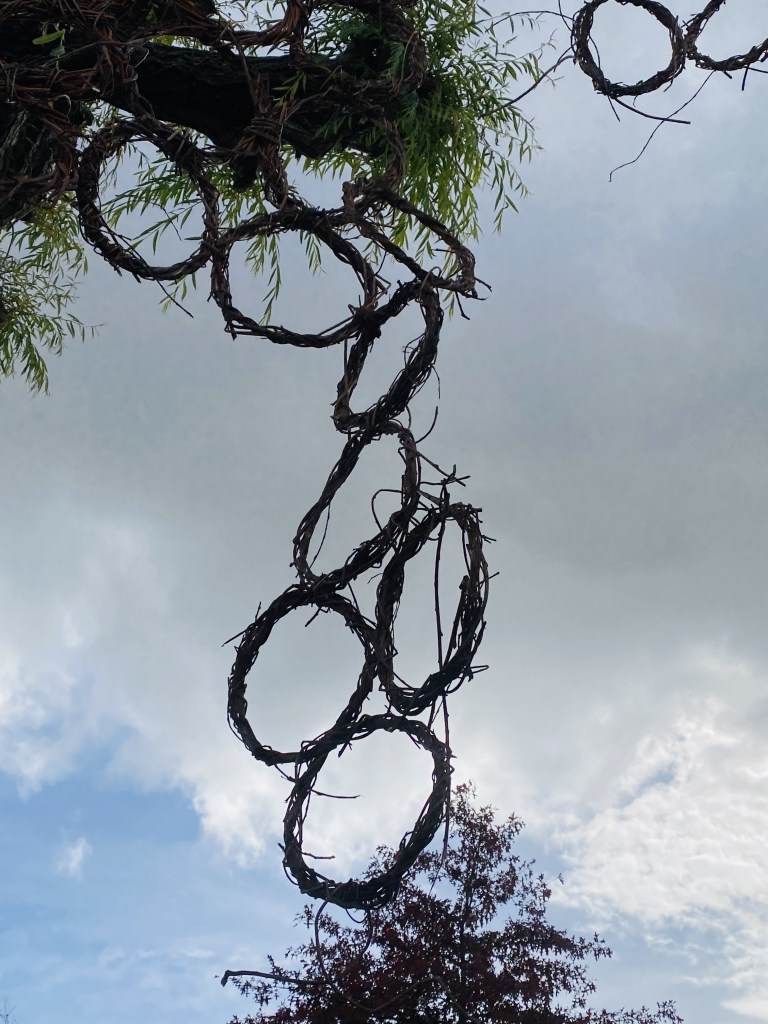 A chain of willow rings hangs below a leafy branch against a cloudy sky.